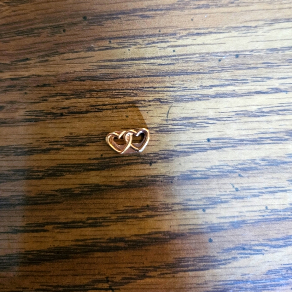 Duo hearts charm